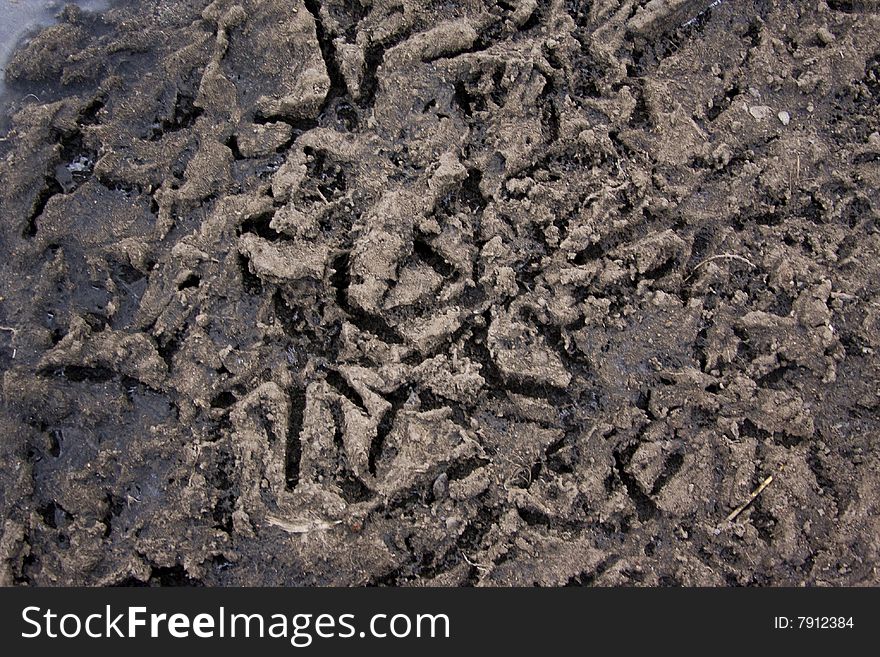 Filthy ground close-up texture pattern background