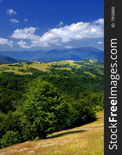 Photo of the summer mountains landscape