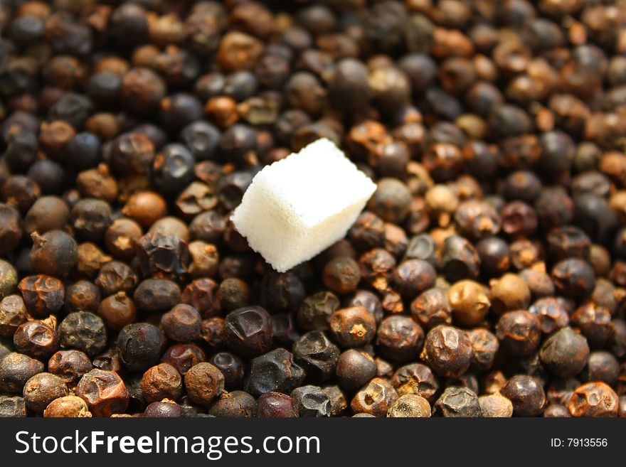 Close up of the piece of sugar on dried juniper berries. Close up of the piece of sugar on dried juniper berries
