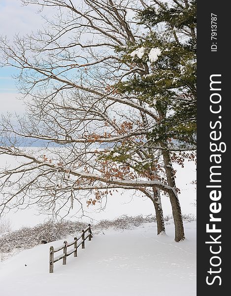 Winter landscape on the lake