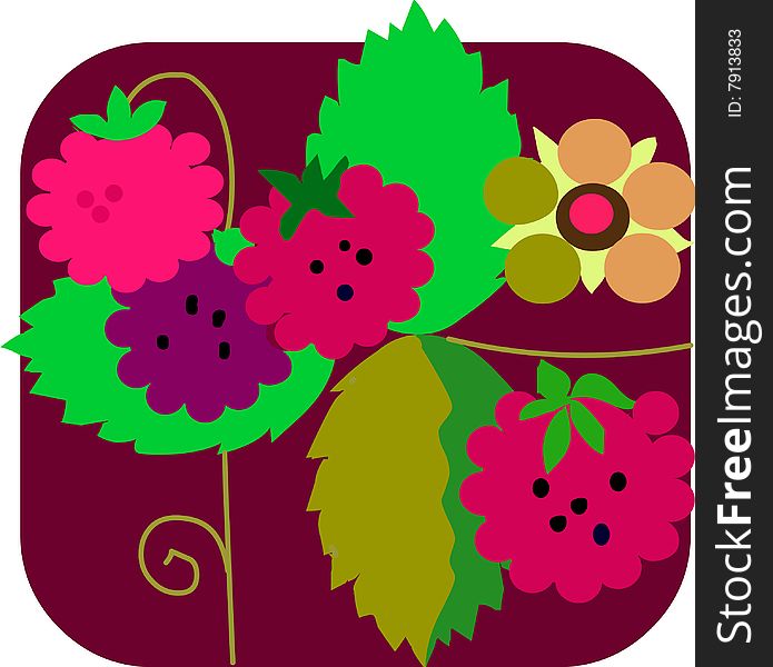 The red raspberry, vector illustration. The red raspberry, vector illustration