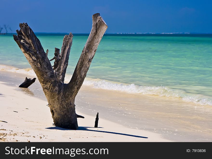 Beautiful panorama of tropical Cayo Blanco. Beautiful panorama of tropical Cayo Blanco.