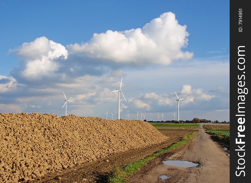 Windmill Park With Stack Of Sugar Beet