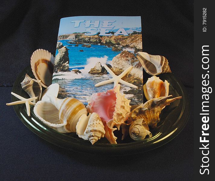 Book entitled The Sea surrounded by a variety of seashells. Book entitled The Sea surrounded by a variety of seashells.