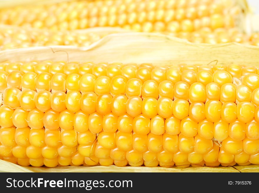 Corn Close Up