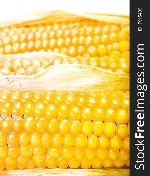 Freshly harvested corn close up