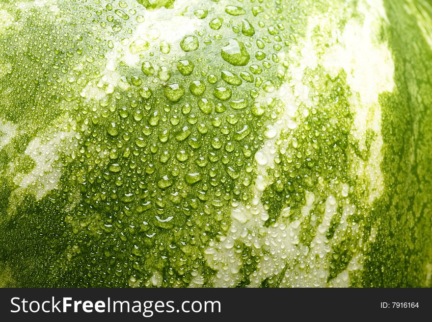 Water melon with water drops. Water melon with water drops