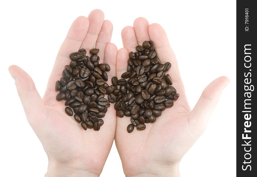 Coffee (grains) beans in a hands. Coffee (grains) beans in a hands.