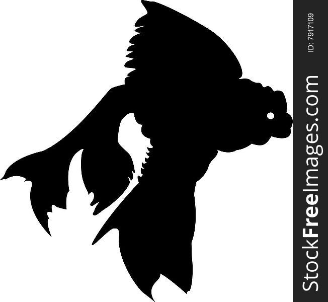 A detailed silouette of a goldfish. A detailed silouette of a goldfish