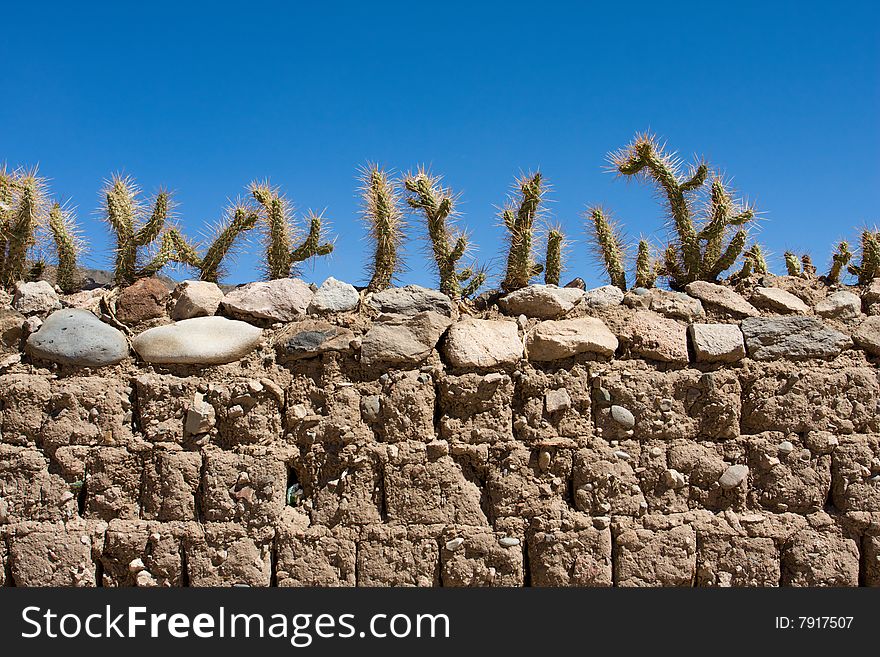 Old brick fence decorated by cactus plants