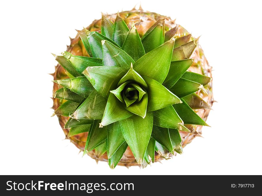 Pineapple isolated on white background. Pineapple isolated on white background