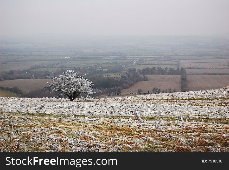 English landscape taken in Uffington White Horse Hill, near Oxford, England. Very cold. A solitary frozen tree to the left. English landscape taken in Uffington White Horse Hill, near Oxford, England. Very cold. A solitary frozen tree to the left.