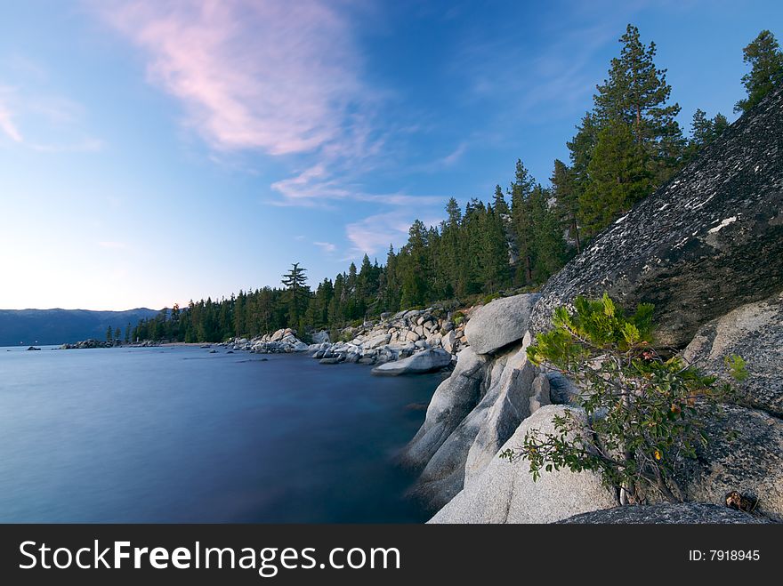 A line of tall pine trees stands along Lake Tahoe at Sunset. A line of tall pine trees stands along Lake Tahoe at Sunset