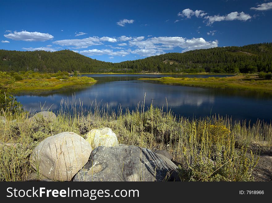 A refreshing lake with mountains covered in green pine trees in the background. A refreshing lake with mountains covered in green pine trees in the background