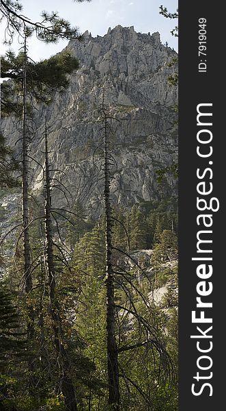 Towering pine trees stand before an imposing mountain in Emerald Bay State Park on the California side of Lake Tahoe. Towering pine trees stand before an imposing mountain in Emerald Bay State Park on the California side of Lake Tahoe.