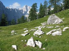 Alpine Medow With Peak In Background Stock Photography Alpine Medow With Peak In Background Stock Photography