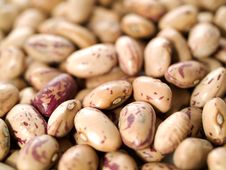 Kidney Beans Stock Photography Kidney Beans Stock Photography