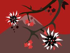 Sakura Royalty Free Stock Images Sakura Royalty Free Stock Images