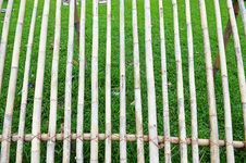 Dried Bamboo Stick In The Garden Royalty Free Stock Image Dried Bamboo Stick In The Garden Royalty Free Stock Image