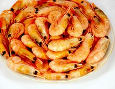 Shrimps Royalty Free Stock Photos Shrimps Royalty Free Stock Photos