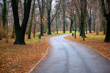Park Alley Royalty Free Stock Photos Park Alley Royalty Free Stock Photos