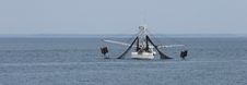 Shrimp Boat Dragging Net Stock Images Shrimp Boat Dragging Net Stock Images