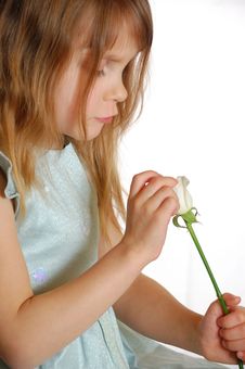 Child With A Rose Stock Photo Child With A Rose Stock Photo