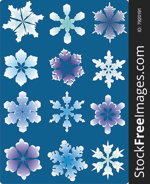 Icon set of 12 different snowflakes