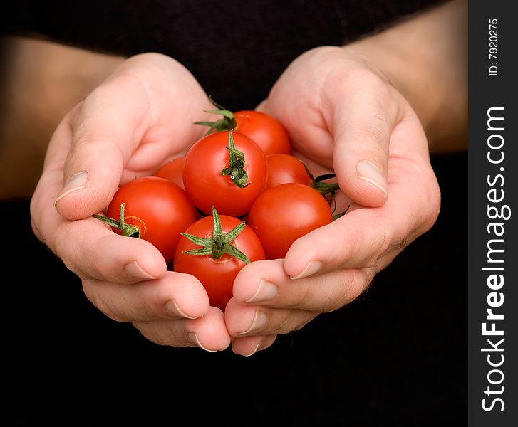 Hands With Cherry Tomates