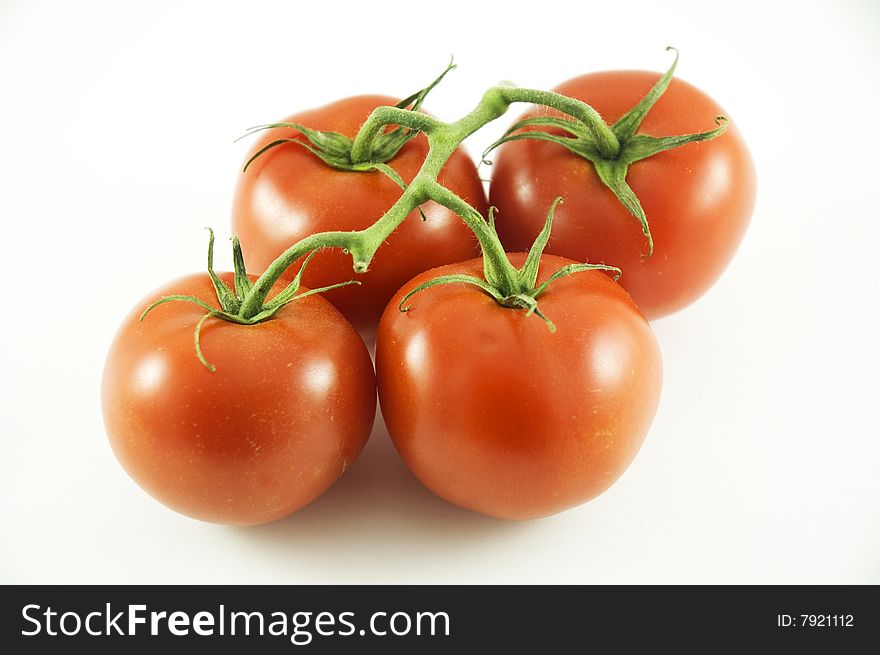 Four Tomatoes on a vines displayed on a white background.