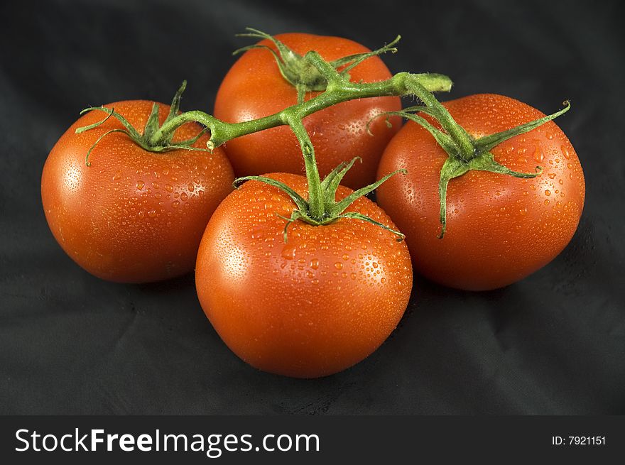 Four Tomatoes on a vines displayed on a white background.