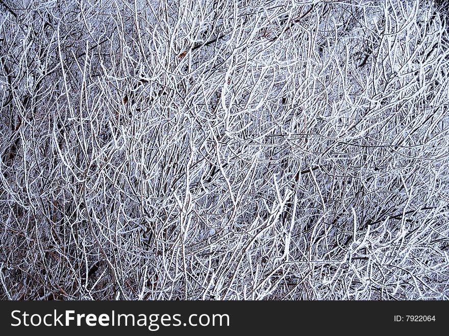 Tree dense branches with ice crystals abstract background. Tree dense branches with ice crystals abstract background