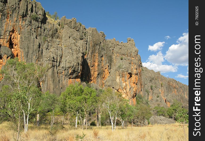 Australian landscape with geological feature of rock formations and specific vegetation. Windiana Gorge National Park, Western Australia, Australia.