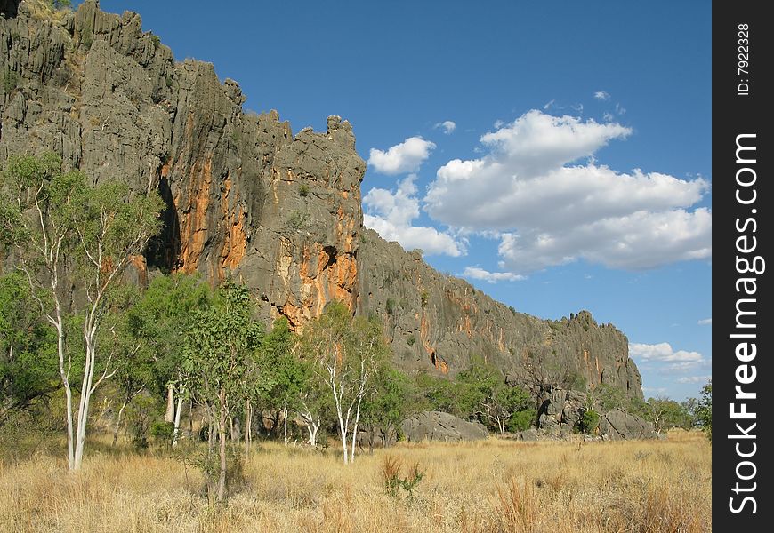 Australian landscape with geological feature of rock formations and specific vegetation. Windiana Gorge National Park, Western Australia, Australia.