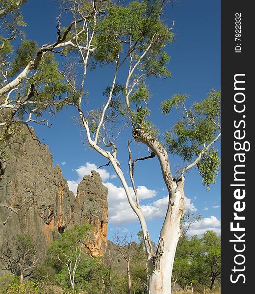 Australian landscape with geological feature of rock formations and specific vegetation. Windiana Gorge National Park, Western Australia, Australia.