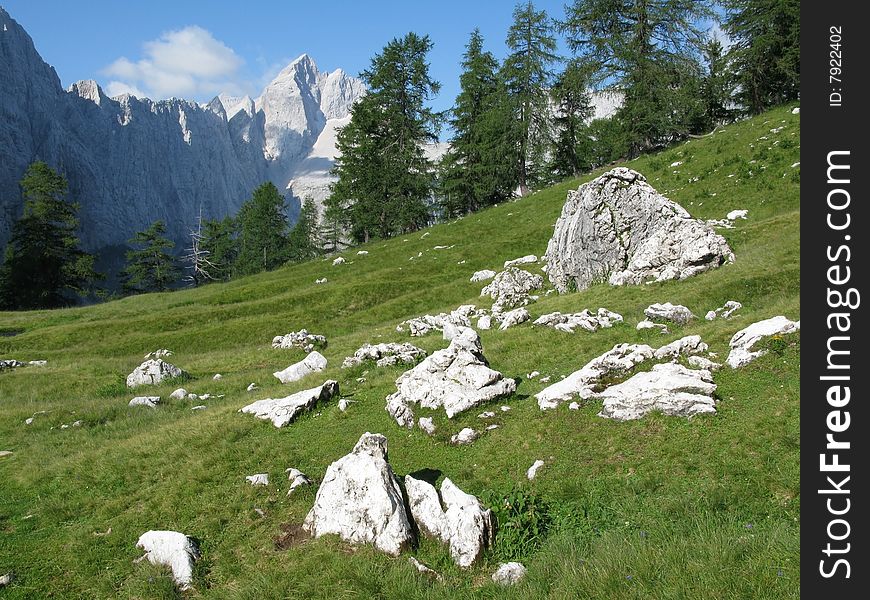 Alpine medow with peak in background