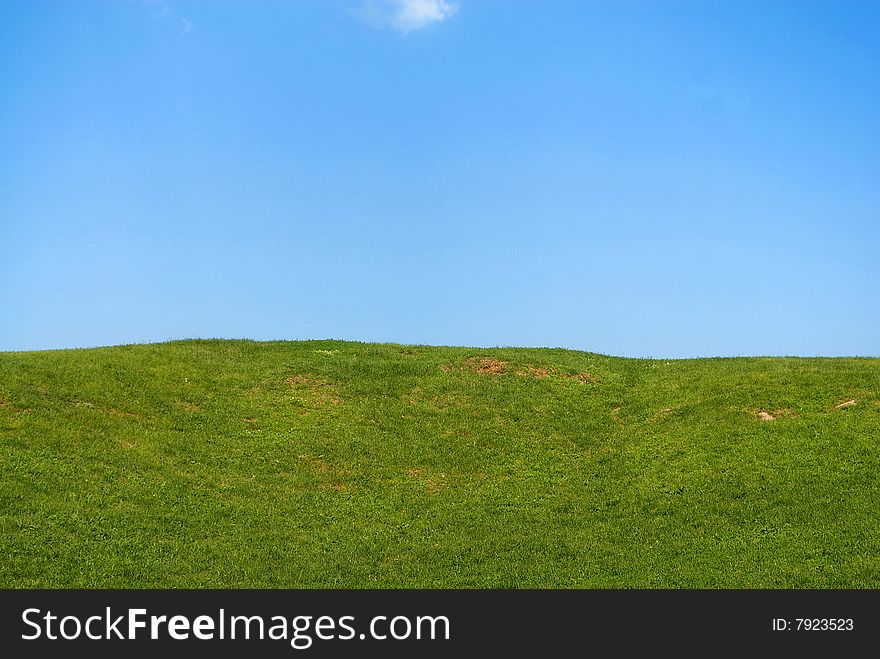 Green grass and the blue sky. Green grass and the blue sky