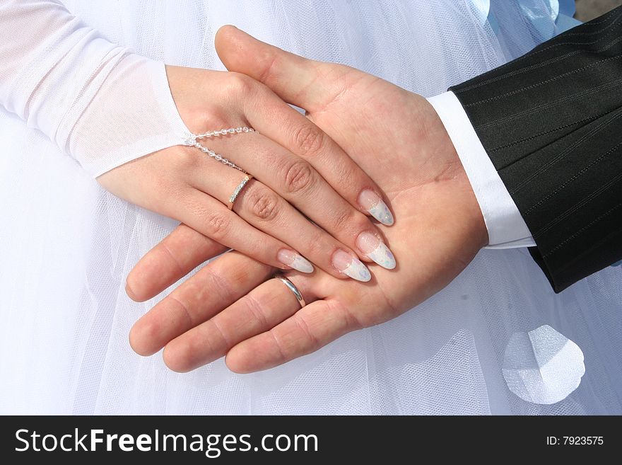 Two palms together. It is man's and female palms. There are wedding rings on their fingers. Two palms together. It is man's and female palms. There are wedding rings on their fingers.