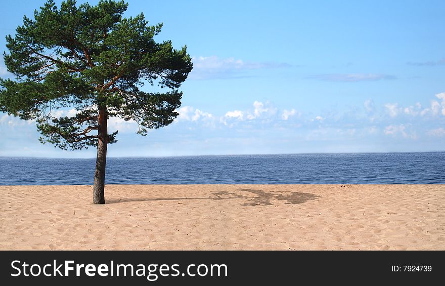 Summer on the beach in north Europa