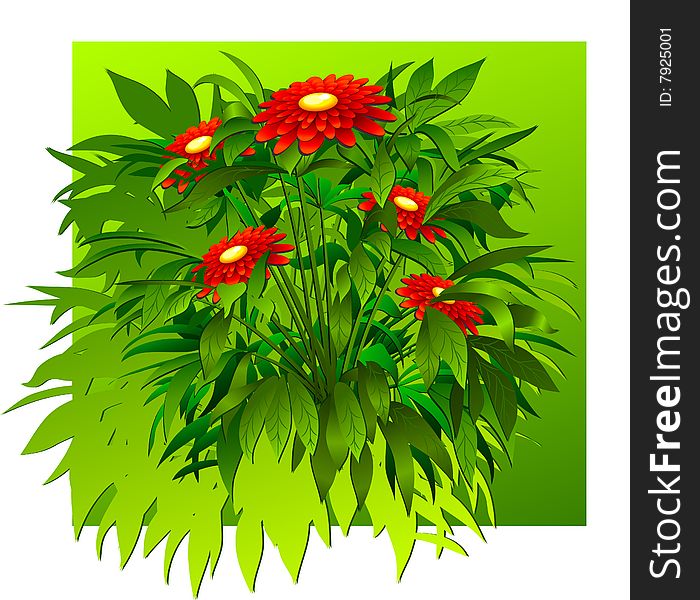 Floral background, bush of flowers on green, element for design, vector illustration