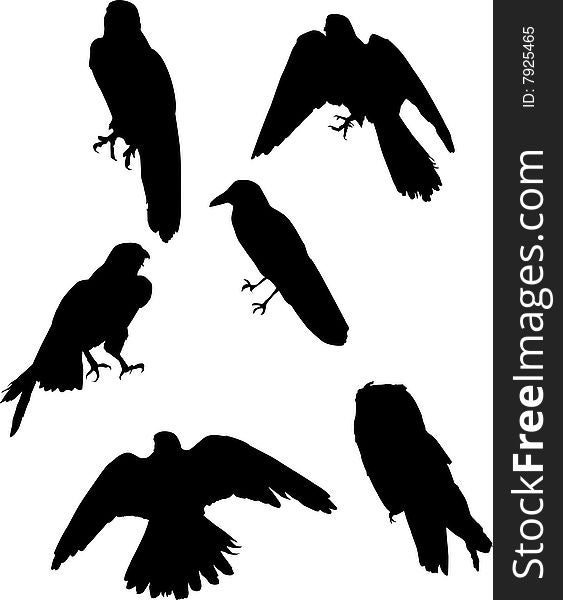 Illustration with six bird silhouettes isolated on white background