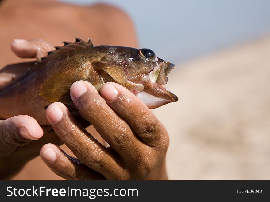 Boy is holding by wet hands fish just catch in the ocean. Boy is holding by wet hands fish just catch in the ocean.