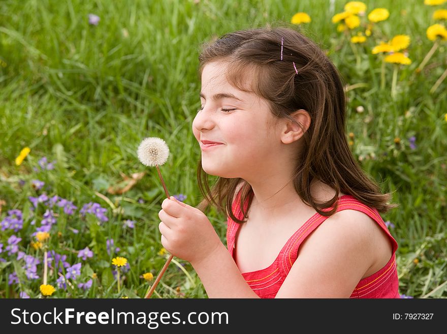 Close Up of Little Girl Blowing Dandelion Seeds