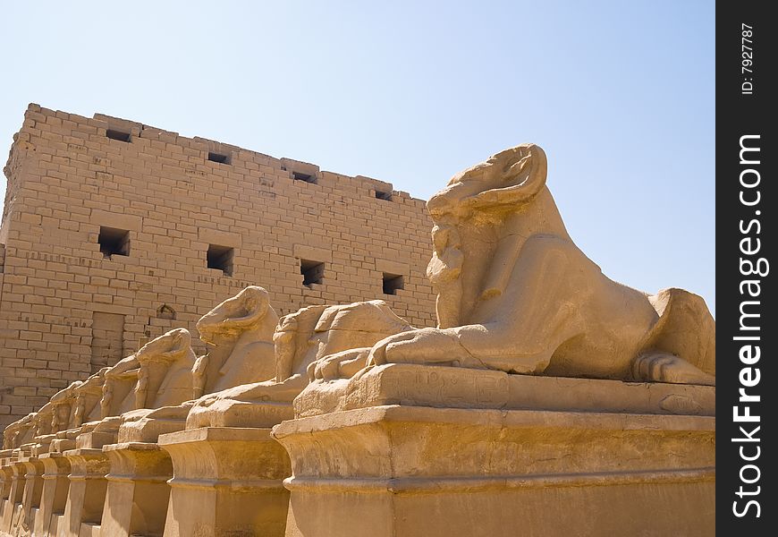 Ram-headed Sphinxes At The Gates Of Karnak