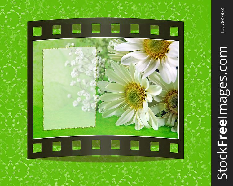 Bouquet of daisies in filmstrip frame. Bouquet of daisies in filmstrip frame.