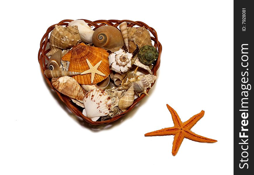 Heart from cockleshells with a starfish