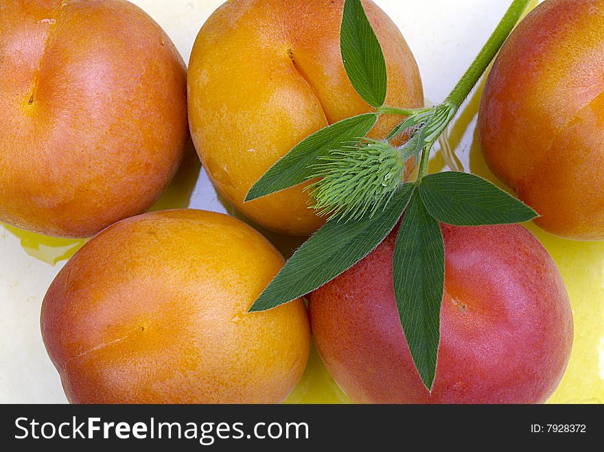 DELICIOUS FRESH APRICOTS WITH LEAFS