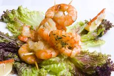 Shrimp S Salad Royalty Free Stock Photos Shrimp S Salad Royalty Free Stock Photos