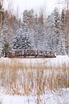 Small Foot-bridge On Background Nature Royalty Free Stock Photography Small Foot-bridge On Background Nature Royalty Free Stock Photography