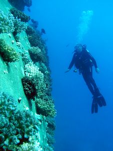 Diver Stock Image Diver Stock Image